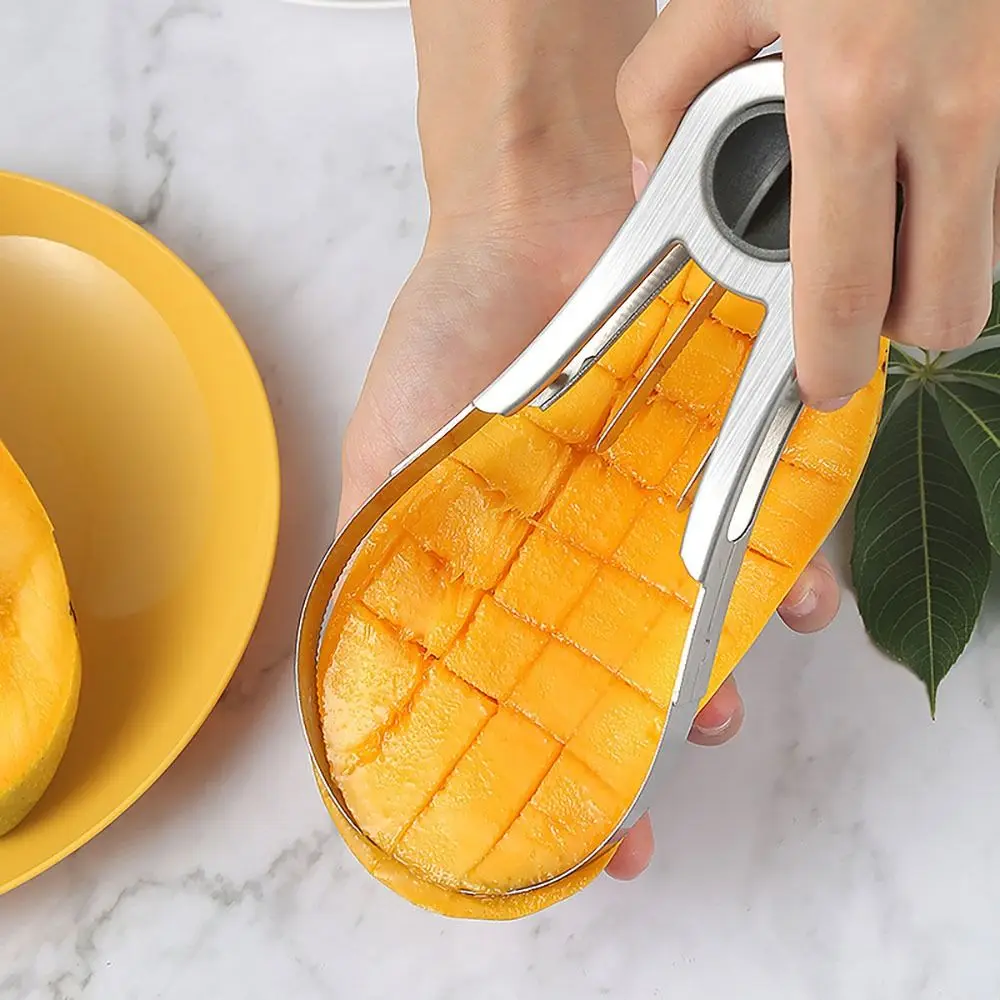 Stainless Steel Mango Cutter S - đánh giá và giá Mango Splitter Tool